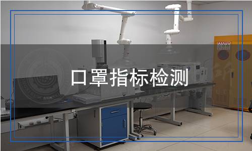 口罩指標檢測