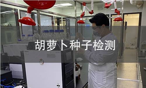 胡蘿卜種子檢測,胡蘿卜種子檢測機構(gòu),胡蘿卜種子檢測報告,北京中科光析科學技術(shù)研究所檢測中心