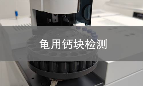龜用鈣塊檢測(cè)