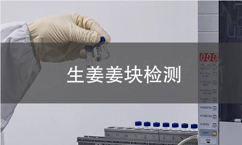 生姜姜塊檢測,生姜姜塊檢測機(jī)構(gòu),生姜姜塊檢測報(bào)告,中析研究所檢測中心