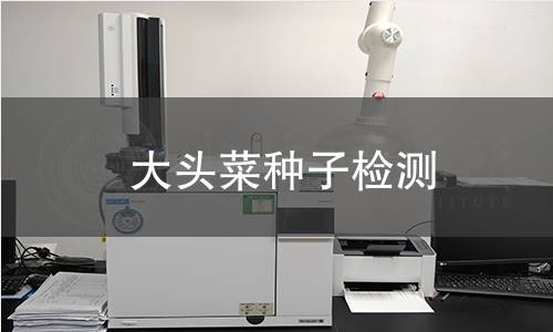 大頭菜種子檢測,大頭菜種子檢測機構(gòu),大頭菜種子檢測報告,中析檢測中心