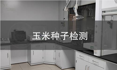 玉米種子檢測,玉米種子檢測機(jī)構(gòu),玉米種子檢測報(bào)告,中析研究所檢測中心