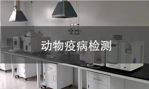 動(dòng)物疫病檢測