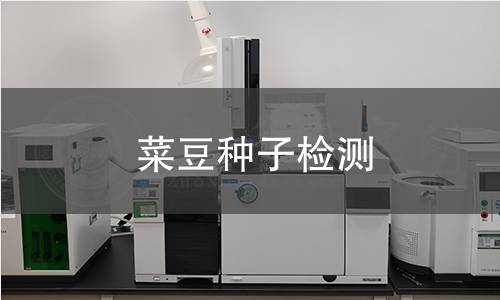 菜豆種子檢測(cè),菜豆種子檢測(cè)機(jī)構(gòu),菜豆種子檢測(cè)報(bào)告,中析研究所檢測(cè)中心