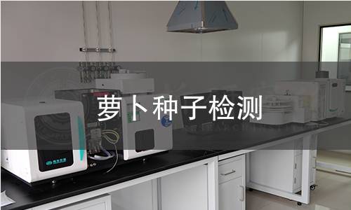 蘿卜種子檢測(cè),蘿卜種子檢測(cè)機(jī)構(gòu),蘿卜種子檢測(cè)報(bào)告,中析檢測(cè)中心