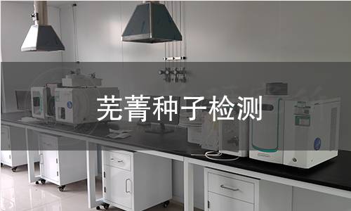 蕪菁種子檢測(cè),蕪菁種子檢測(cè)機(jī)構(gòu),蕪菁種子檢測(cè)報(bào)告,中析研究所檢測(cè)中心