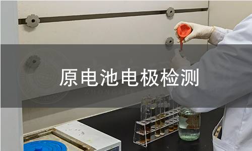 原電池電極檢測(cè)