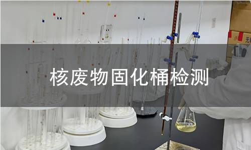 核廢物固化桶檢測