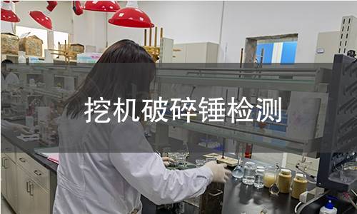 挖機(jī)破碎錘檢測(cè)