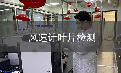 風(fēng)速計(jì)葉片檢測(cè)