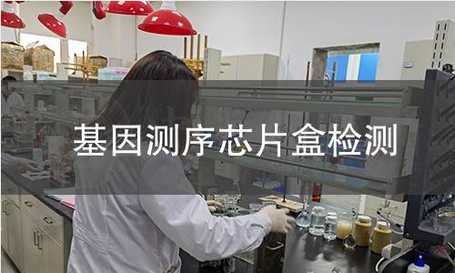 基因測(cè)序芯片盒檢測(cè)