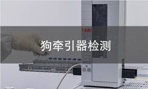 狗牽引器檢測(cè)