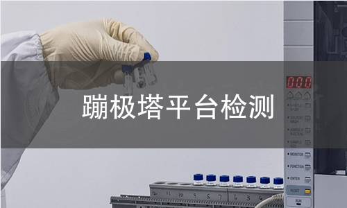 蹦極塔平臺檢測