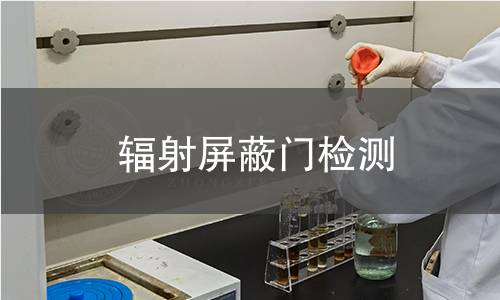 輻射屏蔽門檢測