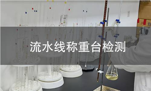 流水線稱重臺檢測