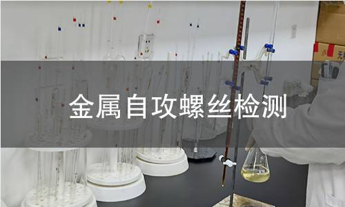 金屬自攻螺絲檢測(cè)
