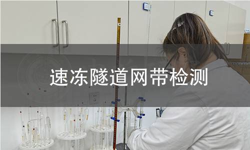 速凍隧道網(wǎng)帶檢測