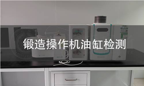 鍛造操作機(jī)油缸檢測(cè)