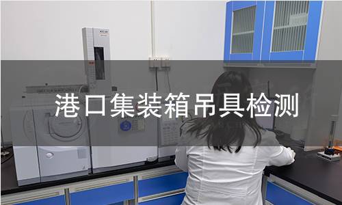 港口集裝箱吊具檢測(cè)