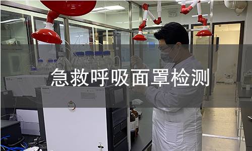 急救呼吸面罩檢測(cè)