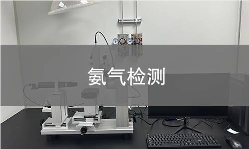 氨氣檢測(cè)