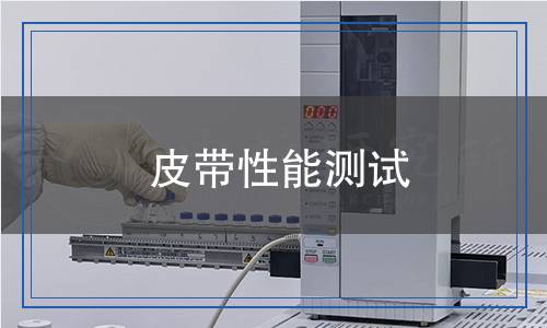 皮帶性能測試