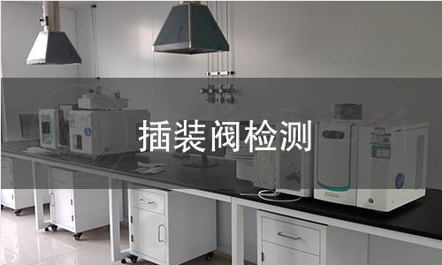 插裝閥檢測(cè)